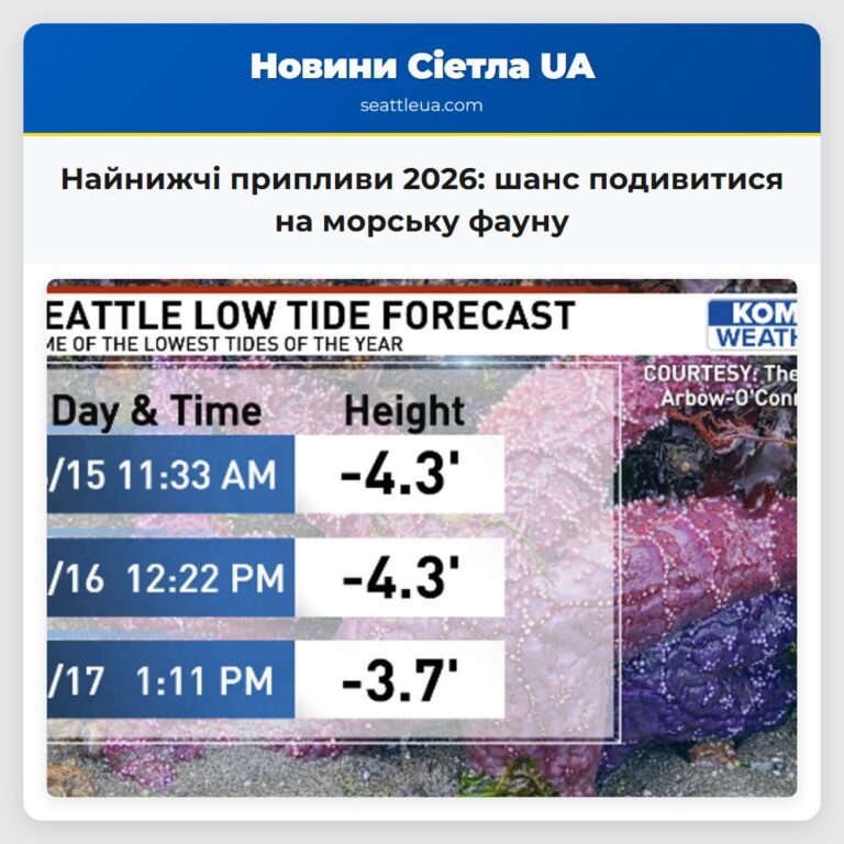 Найнижчі припливи 2026 шанс подивитися на морську фауну