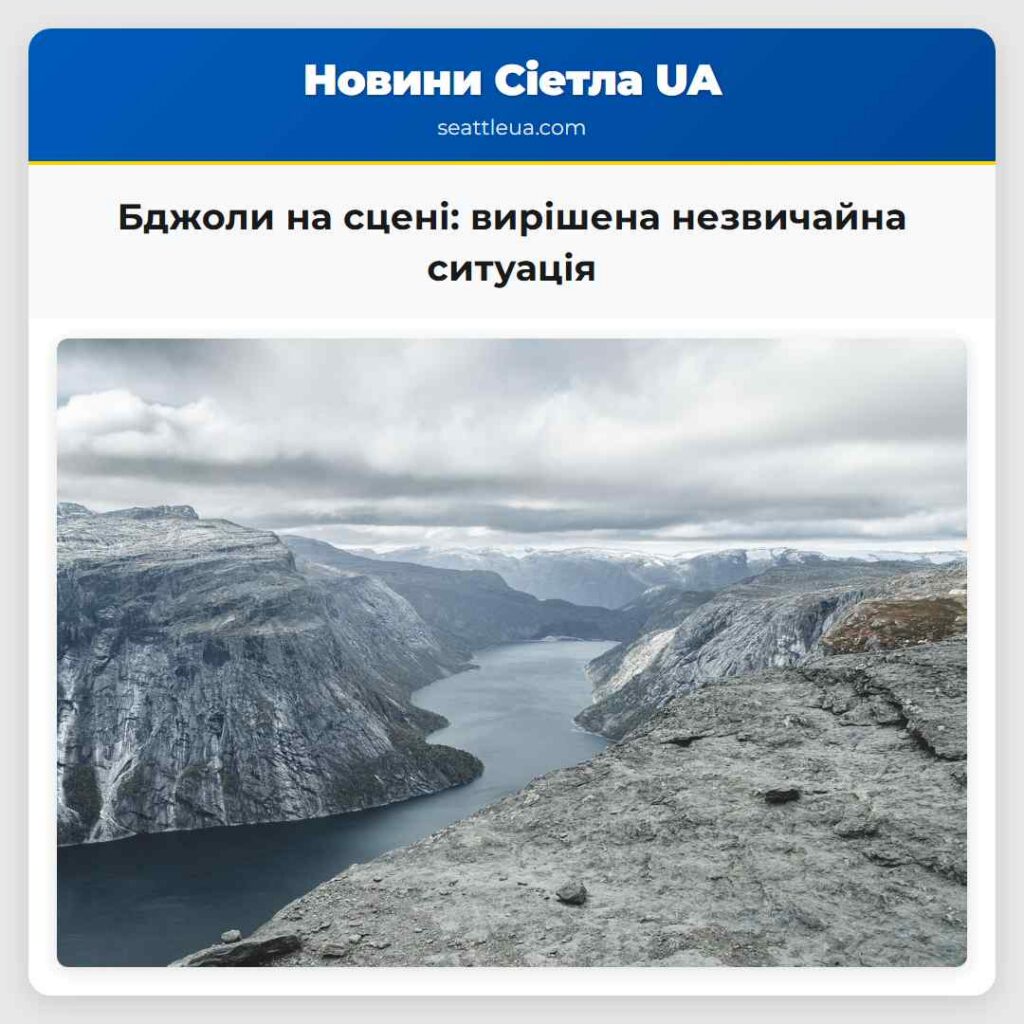 Бджоли на сцені: вирішена незвичайна ситуація