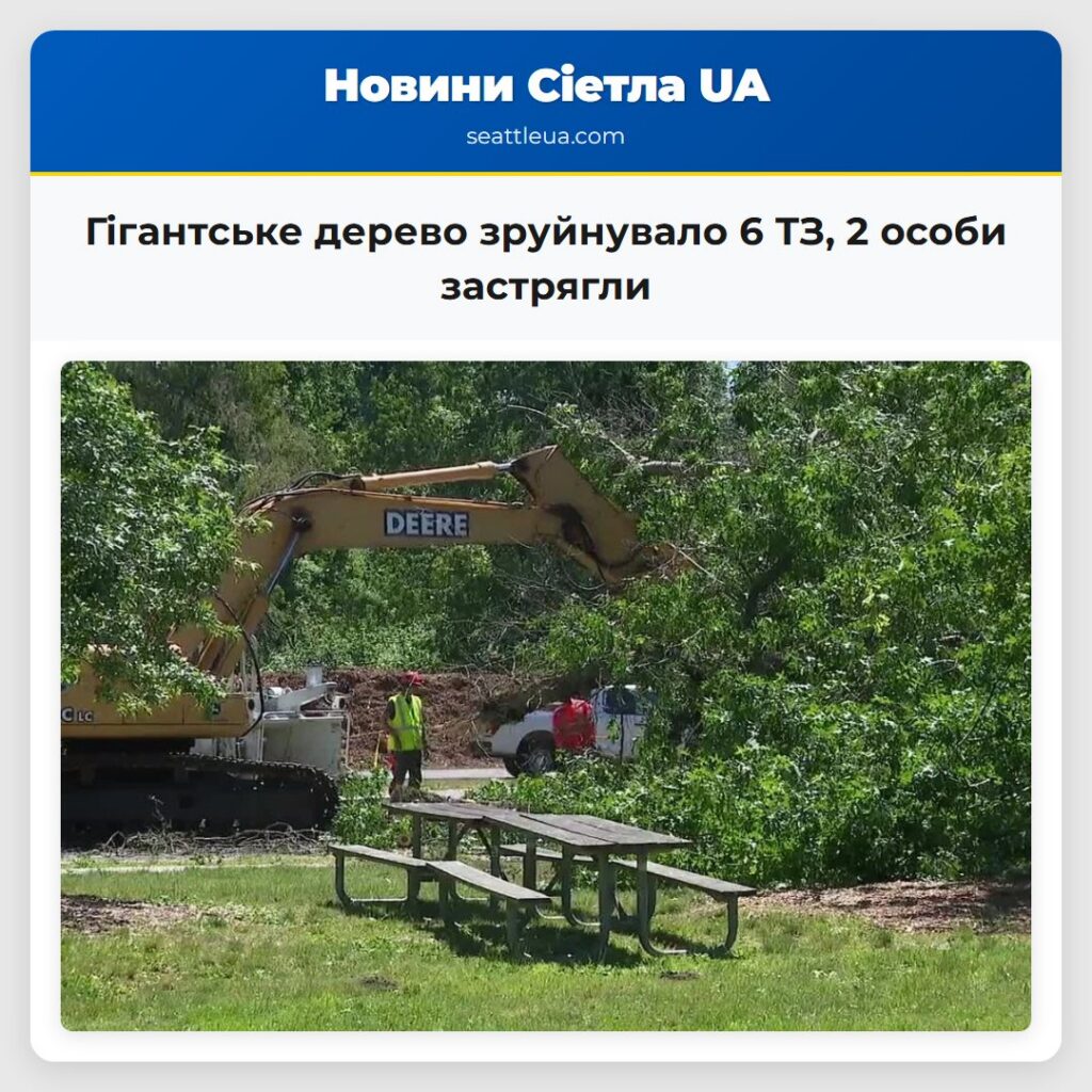 Гігантське дерево зруйнувало 6 ТЗ, 2 особи