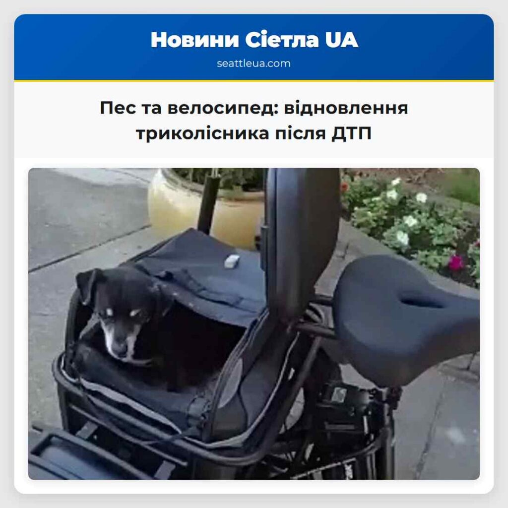 Пес та велосипед: відновлення триколісника після