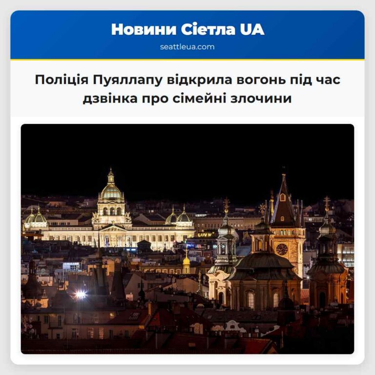 Поліція Пуяллапу відкрила вогонь під час дзвінка про сімейні злочини