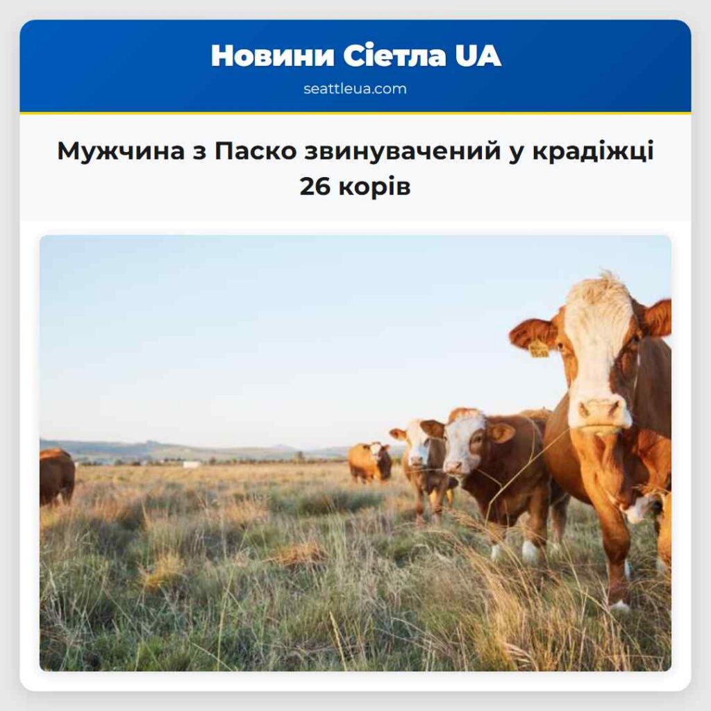 Мужчина з Паско звинувачений у крадіжці 26 корів