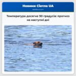 Температура досягне 90 градусів прогноз на наступні дні