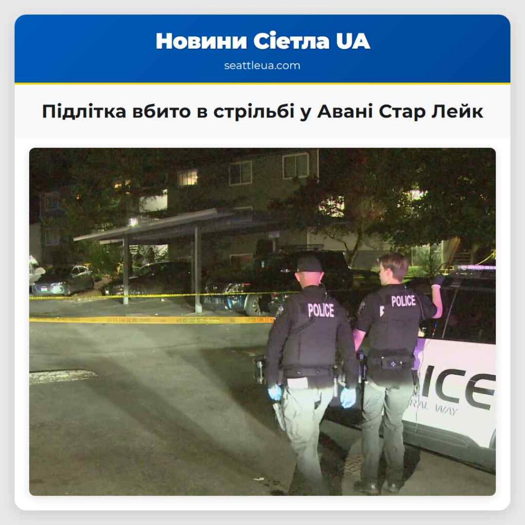 Підлітка вбито в стрільбі у Авані Стар Лейк