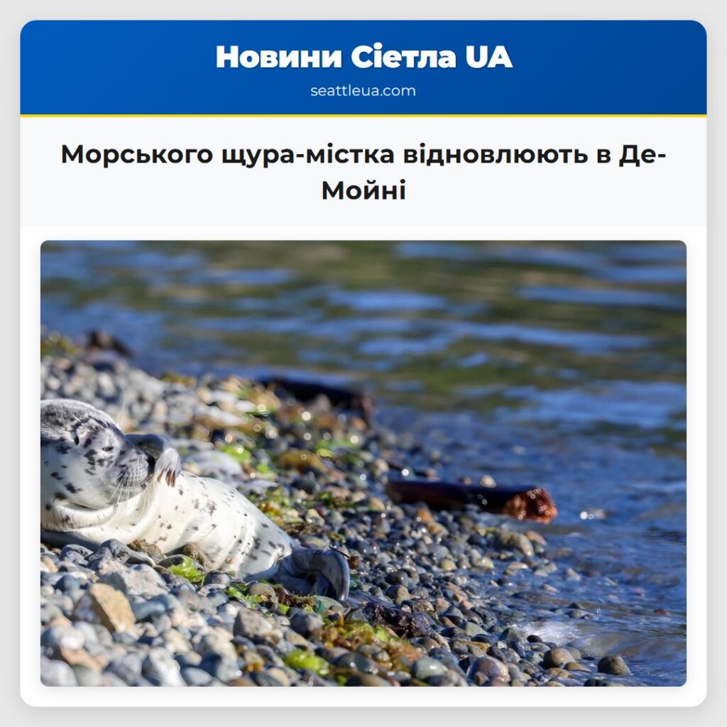 Морського щура-містка відновлюють в Де-Мойні