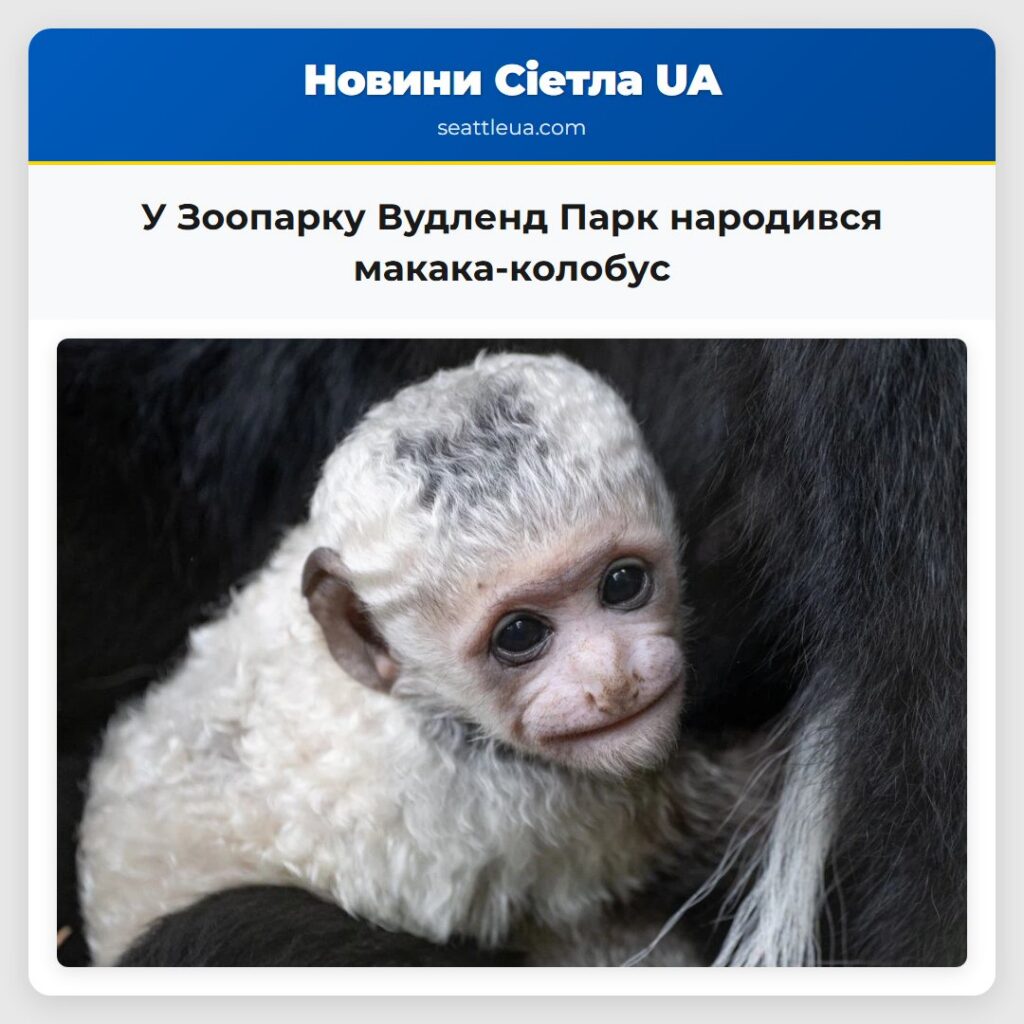 У Зоопарку Вудленд Парк народився макака-колобус
