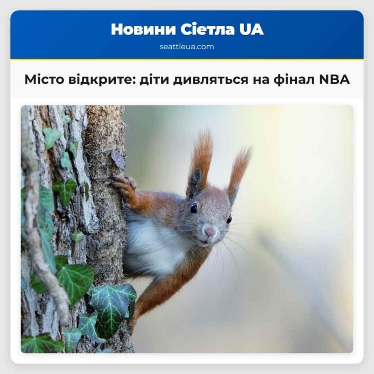 Місто відкрите діти дивляться на фінал NBA