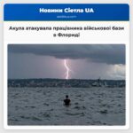 Акула атакувала працівника військової бази в Флориді