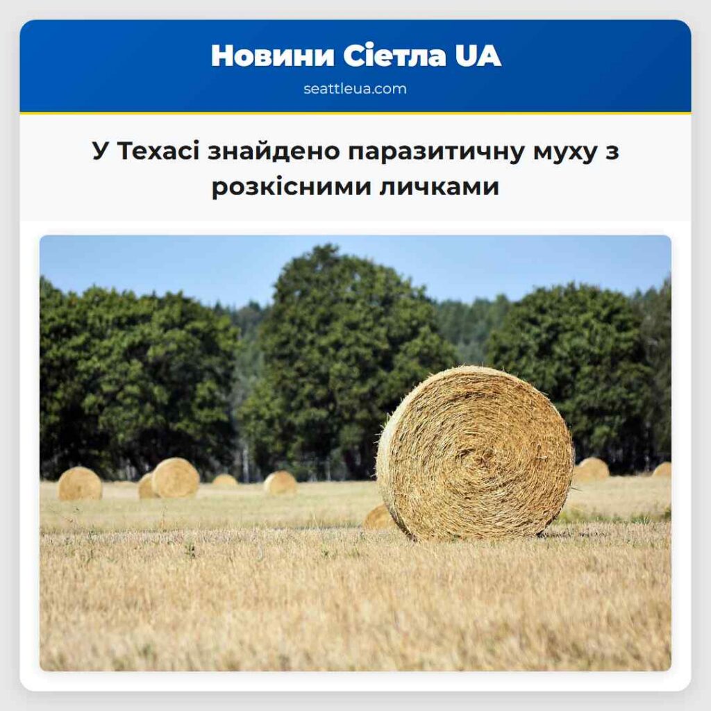У Техасі знайдено паразитичну муху з розкісними