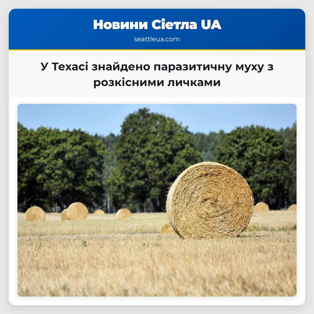 У Техасі знайдено паразитичну муху з розкісними