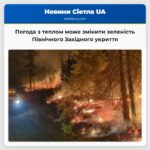 Погода з теплом може змінити зеленість Північного Західного укриття