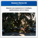 Дерево ока вирвалося зі стовбура зруйнувавши авто в парку
