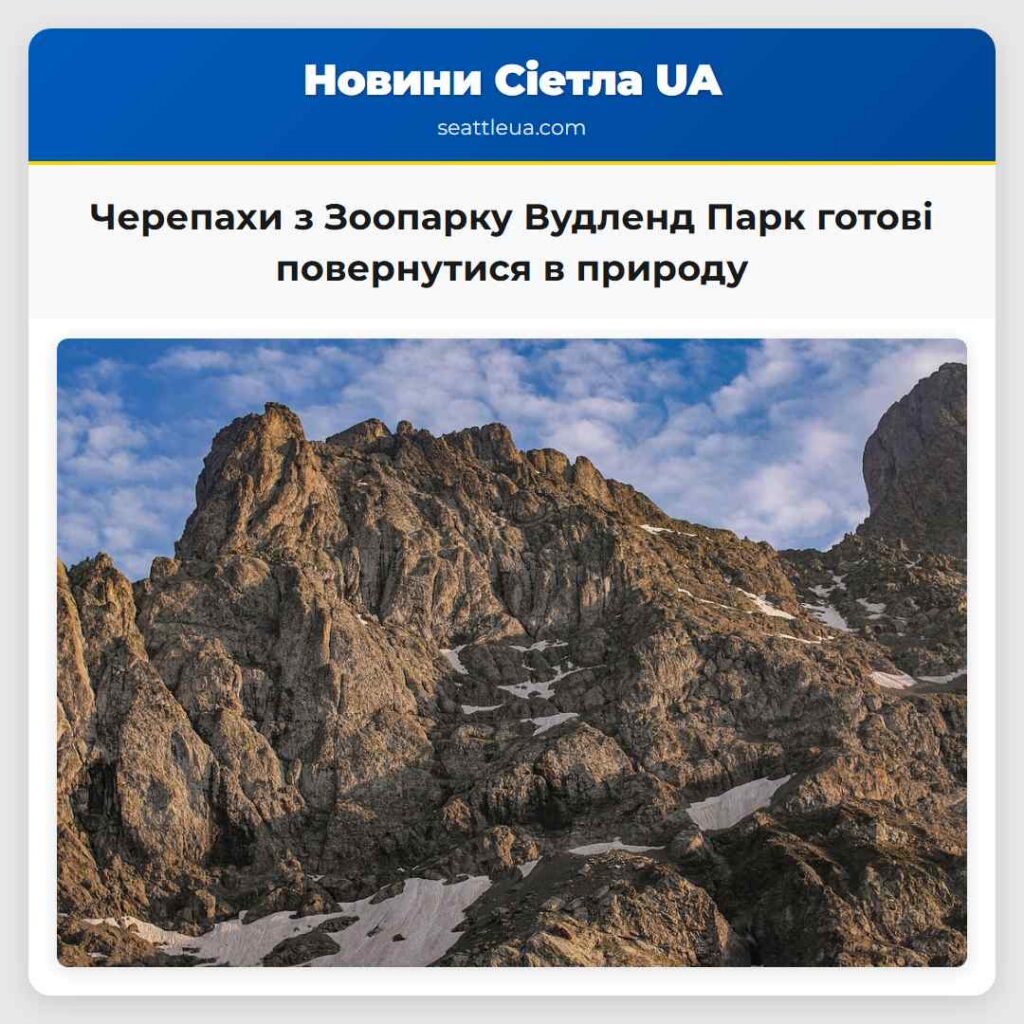 Черепахи з Зоопарку Вудленд Парк готові