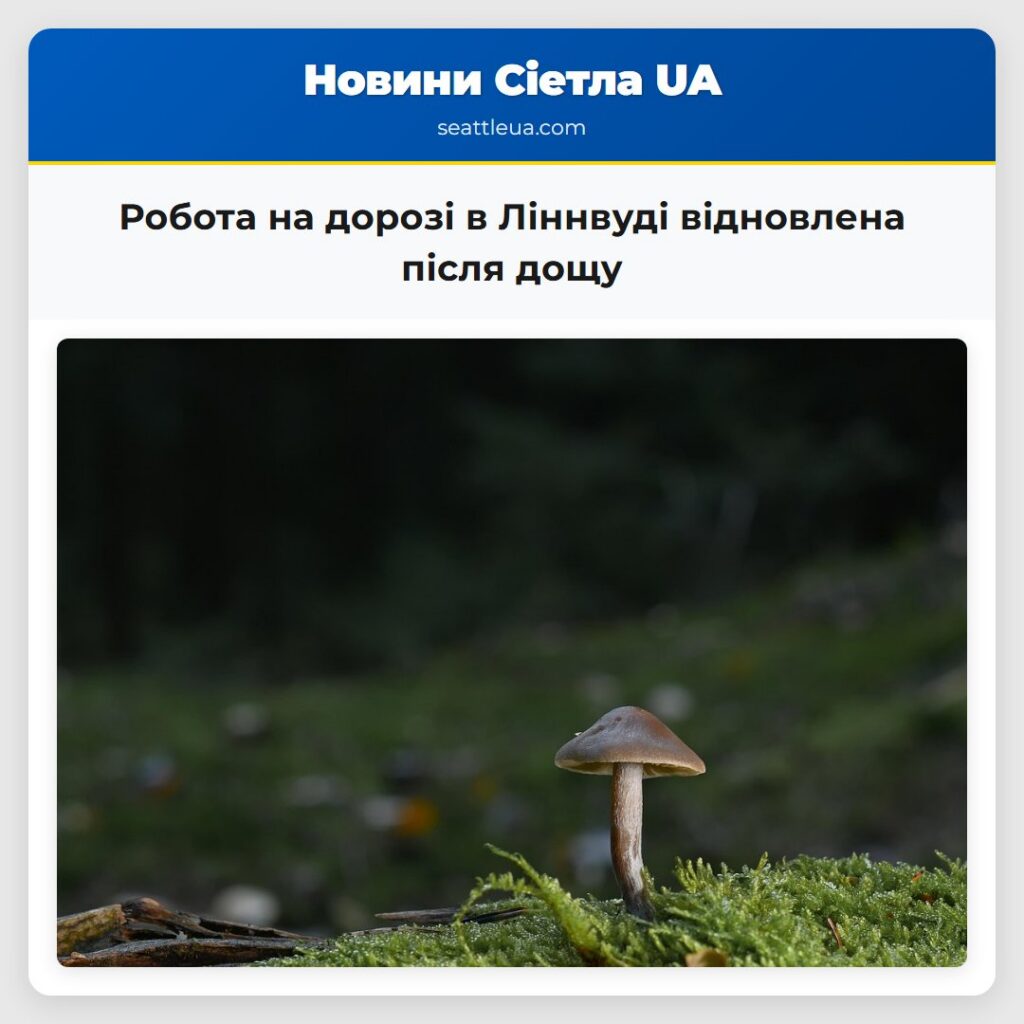 Робота на дорозі в Ліннвуді відновлена після дощу
