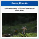 Робота на дорозі в Ліннвуді відновлена після дощу
