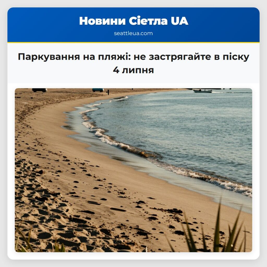 Паркування на пляжі: не застрягайте в піску 4