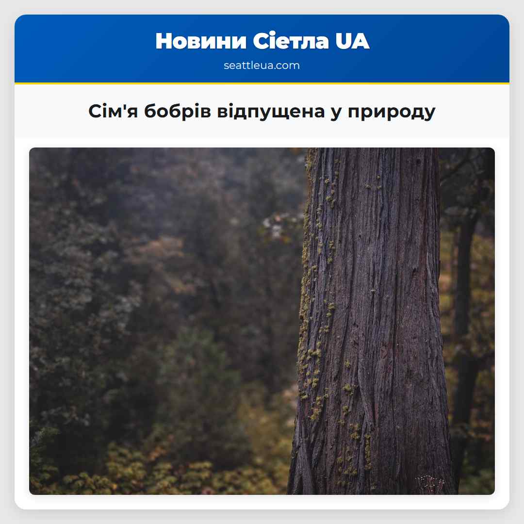Сімя бобрів відпущена у природу