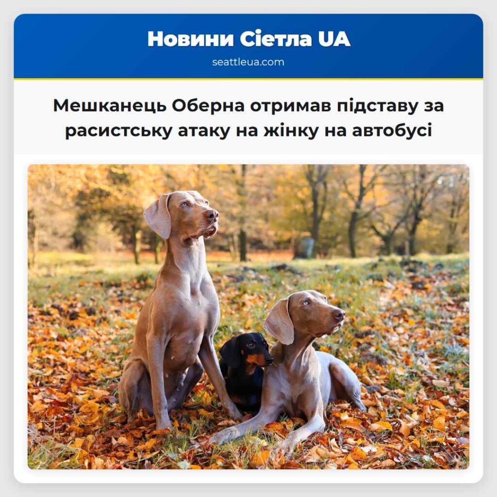 Мешканець Оберна отримав підставу за расистську