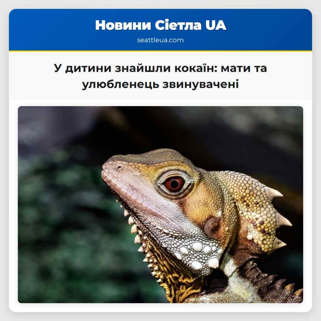 У дитини знайшли кокаїн: мати та улюбленець