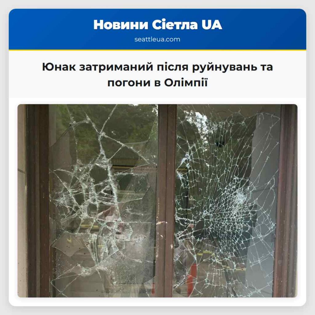 Юнак затриманий після руйнувань та погони в