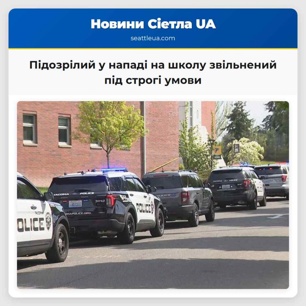 Підозрілий у нападі на школу звільнений під