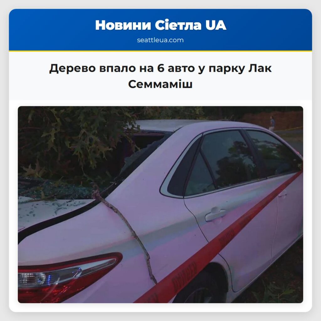 Дерево впало на 6 авто у парку Лак Семмаміш