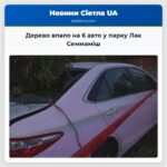 Дерево впало на 6 авто у парку Лак Семмаміш