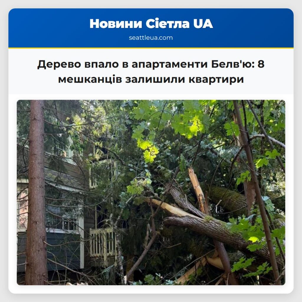 Дерево впало в апартаменти Белв'ю: 8 мешканців