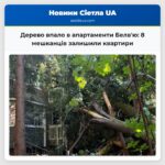 Дерево впало в апартаменти Белвю 8 мешканців залишили квартири