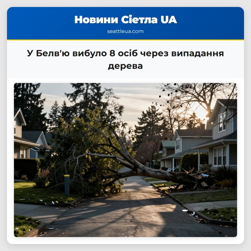 У Белв'ю вибуло 8 осіб через випадання дерева