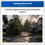 У Белвю вибуло 8 осіб через випадання дерева