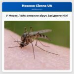 У Мозес Лейк виявили вірус Західного Нілі