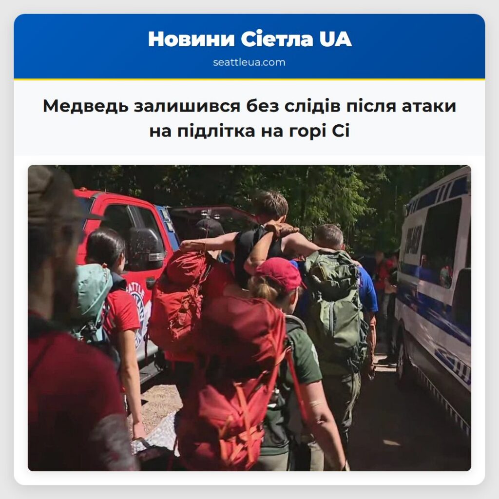 Медведь залишився без слідів після атаки на