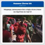 Медведь залишився без слідів після атаки на підлітка на горі Сі
