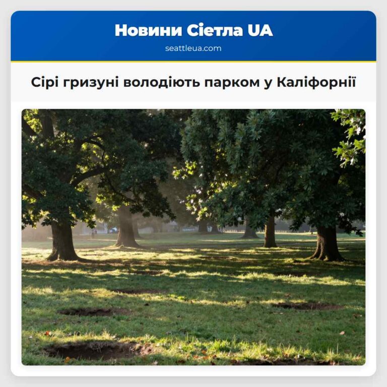 Сірі гризуні володіють парком у Каліфорнії