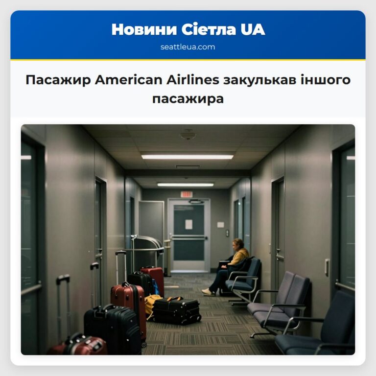 Пасажир American Airlines закулькав іншого пасажира