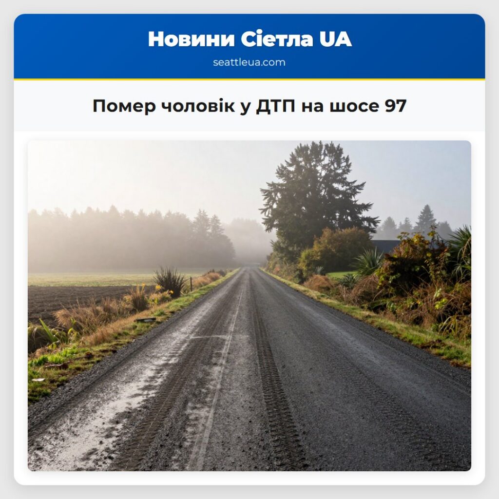 Помер чоловік у ДТП на шосе 97