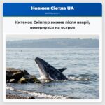 Китенок Скіппер вижив після аварії повернувся на остров