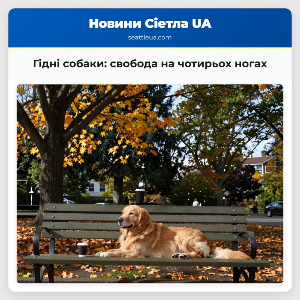 Гідні собаки: свобода на чотирьох ногах