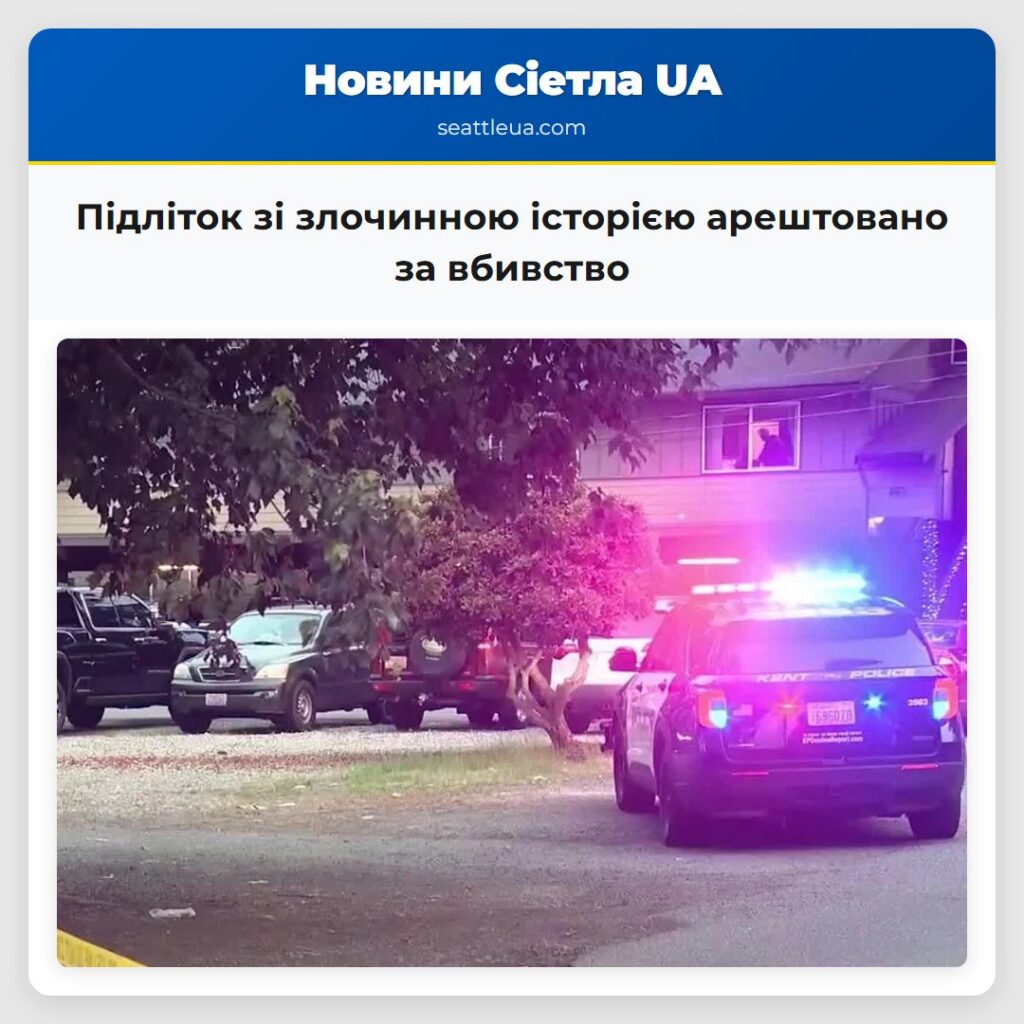 Підліток зі злочинною історією арештовано за