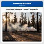 Вогнівка Туканнон спала 9 500 акрів