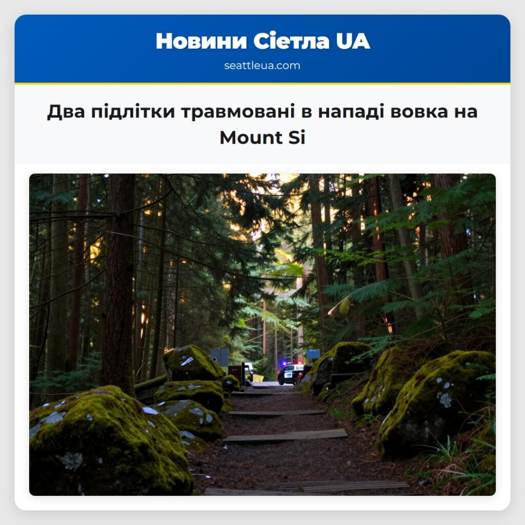 Два підлітки травмовані в нападі вовка на Mount Si