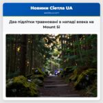 Два підлітки травмовані в нападі вовка на Mount Si