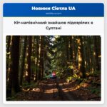 Кіт-напівнічний знайшов підозрілих в Султані