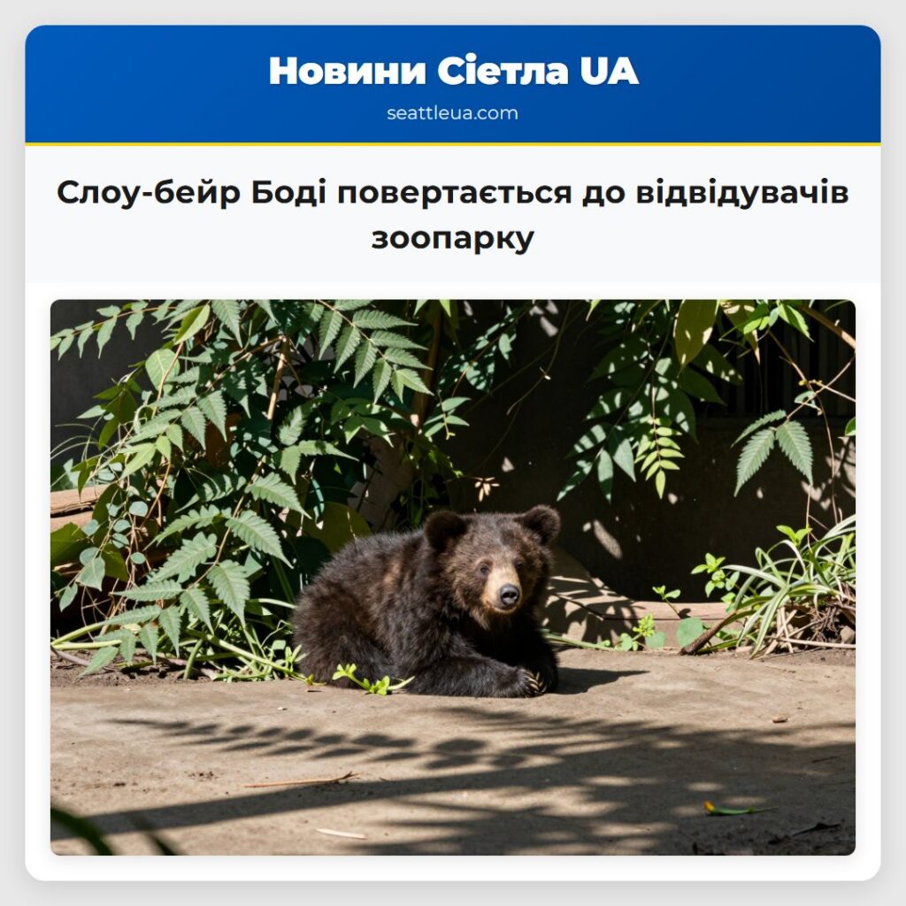 Слоу-бейр Боді повертається до відвідувачів