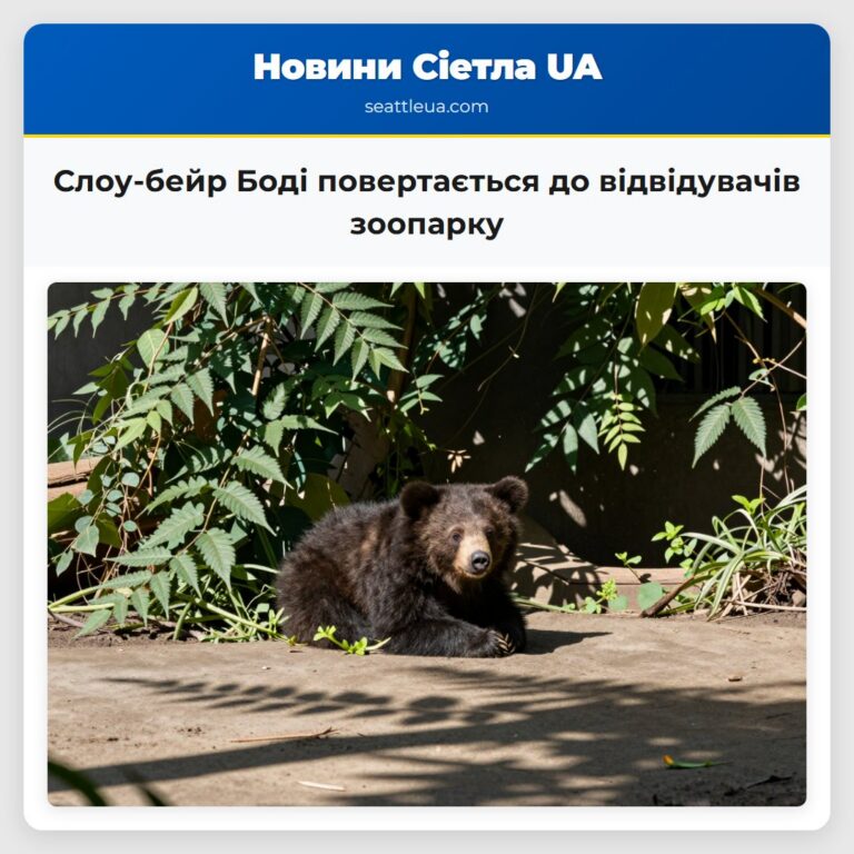 Слоу-бейр Боді повертається до відвідувачів зоопарку