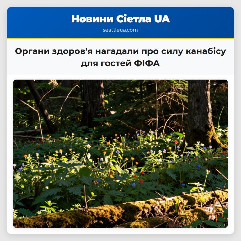 Органи здоровя нагадали про силу канабісу для гостей ФІФА