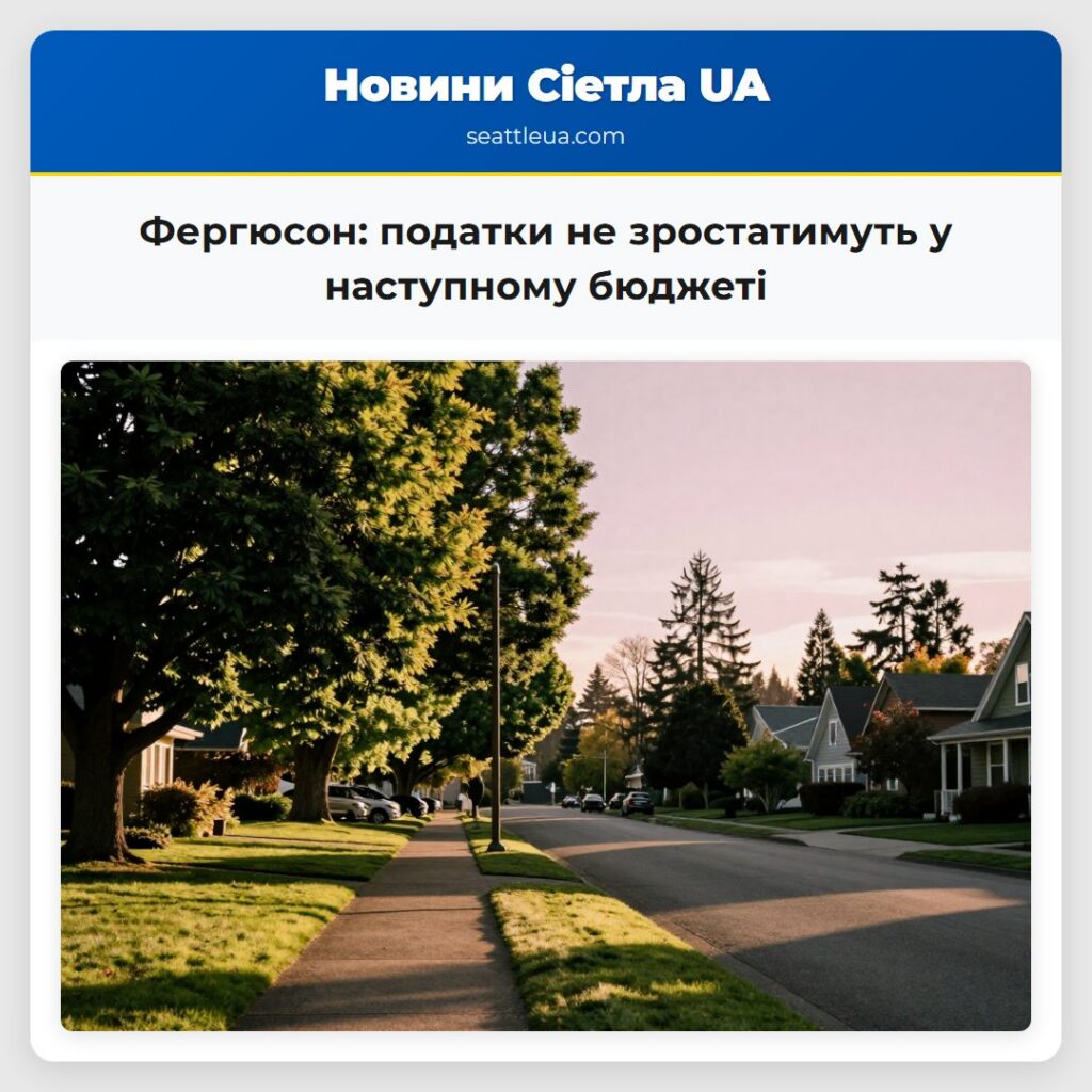 Фергюсон: податки не зростатимуть у наступному