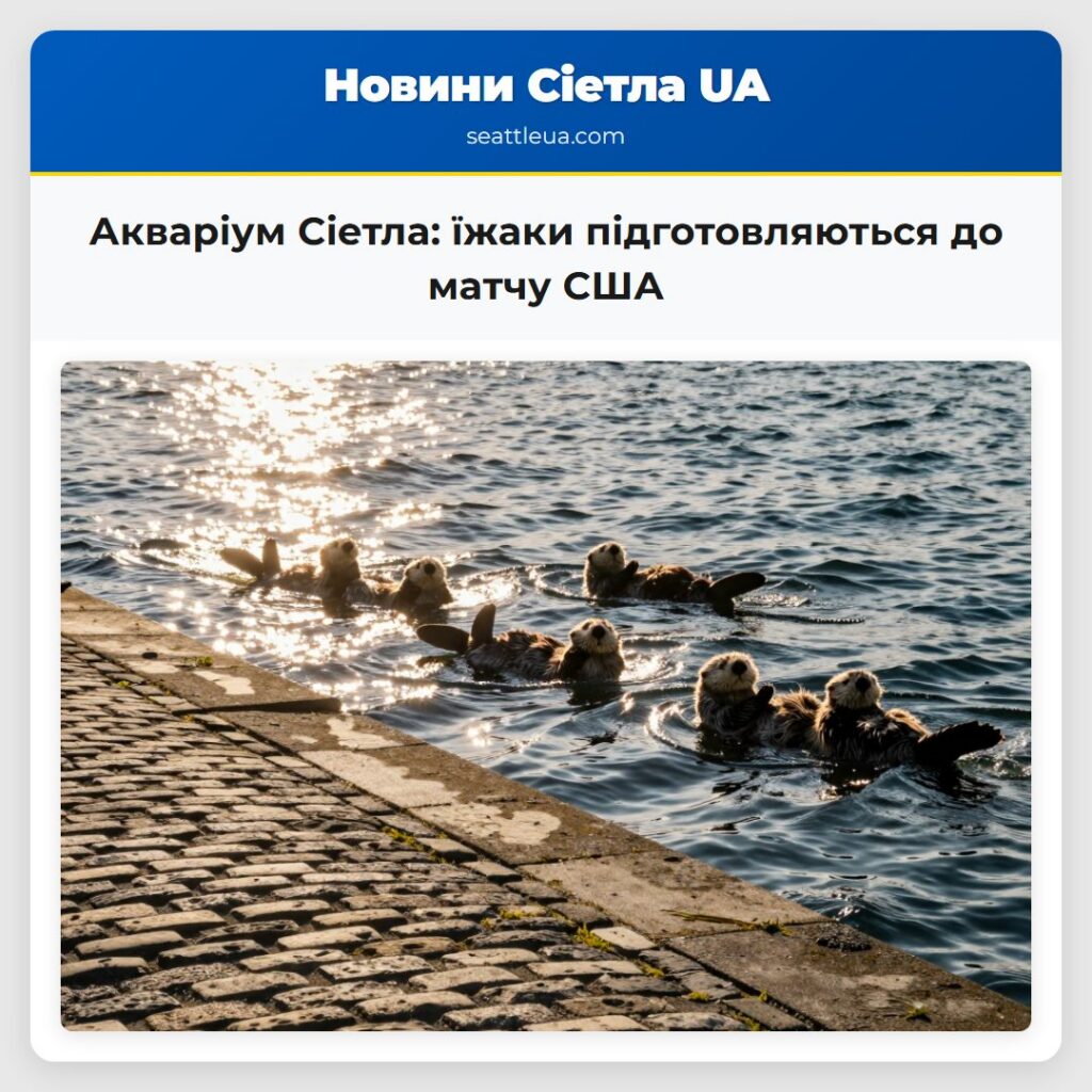 Акваріум Сіетла: їжаки підготовляються до матчу