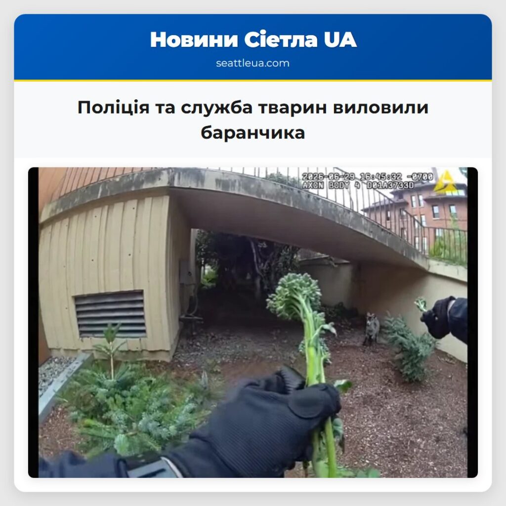 Поліція та служба тварин виловили баранчика